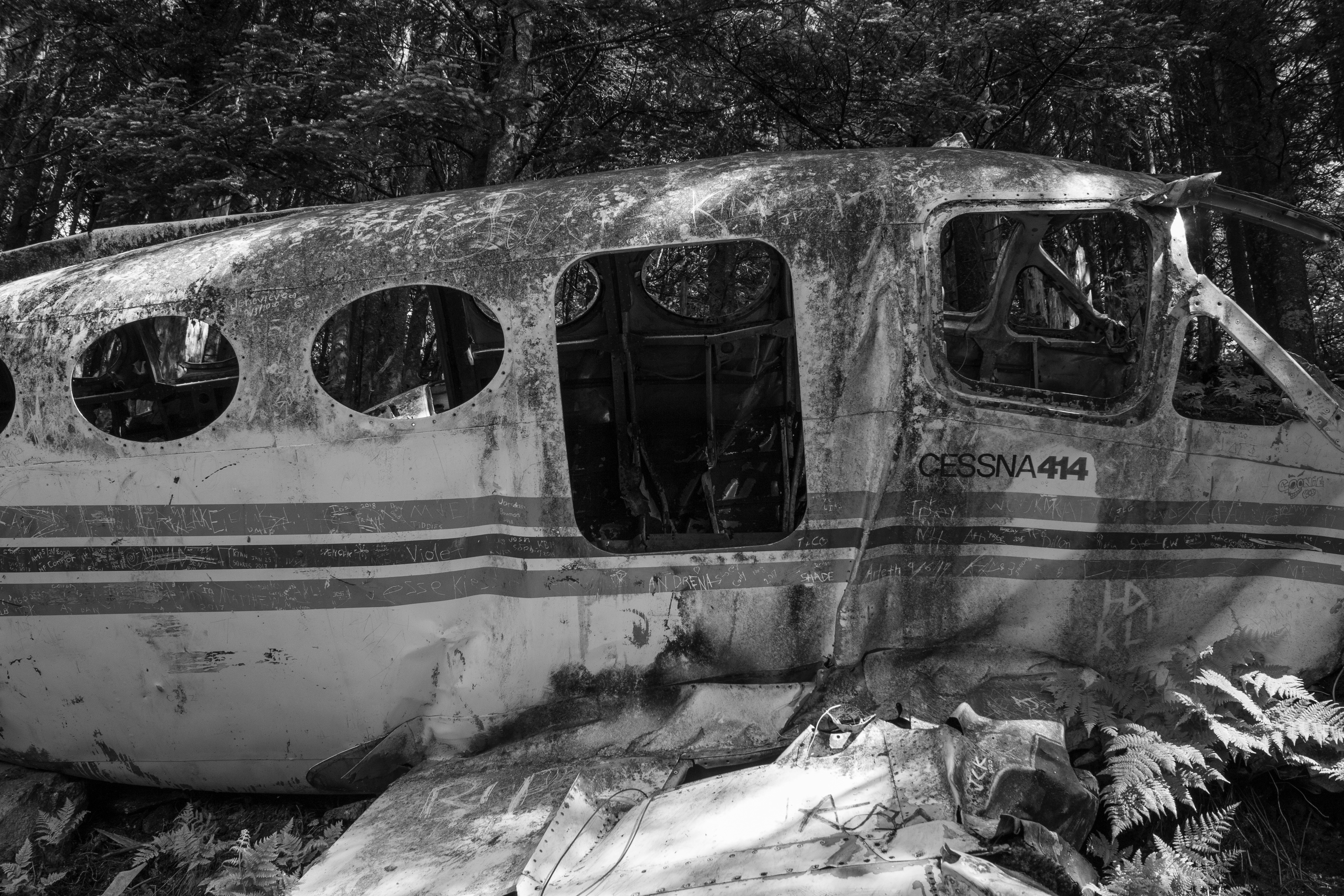 Trails Carolina Horror Stories