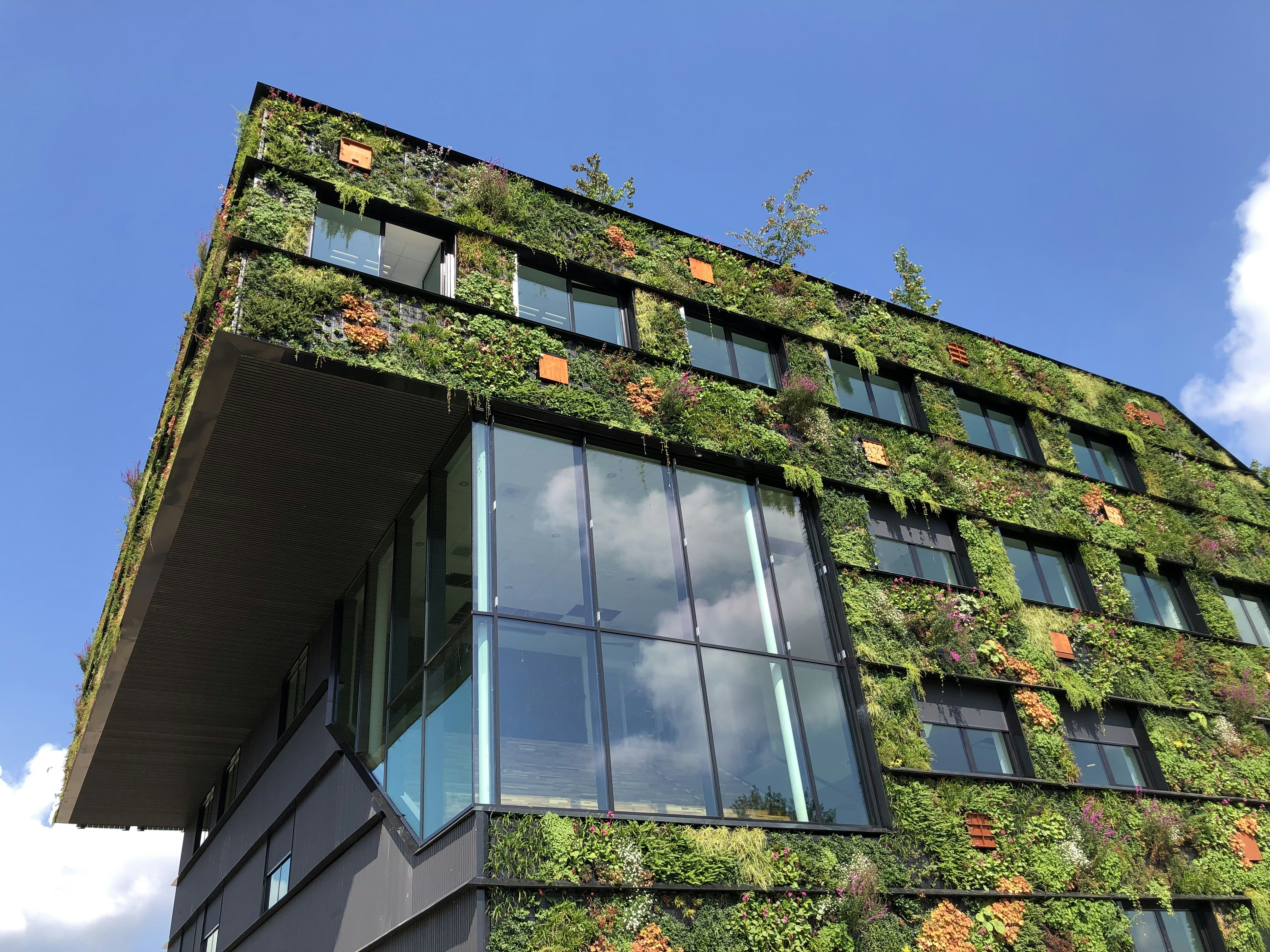 Top 10 Interview Questions for a Career Path and Progression for an ESG Consultant in Engineering & Green Energy – Singapore