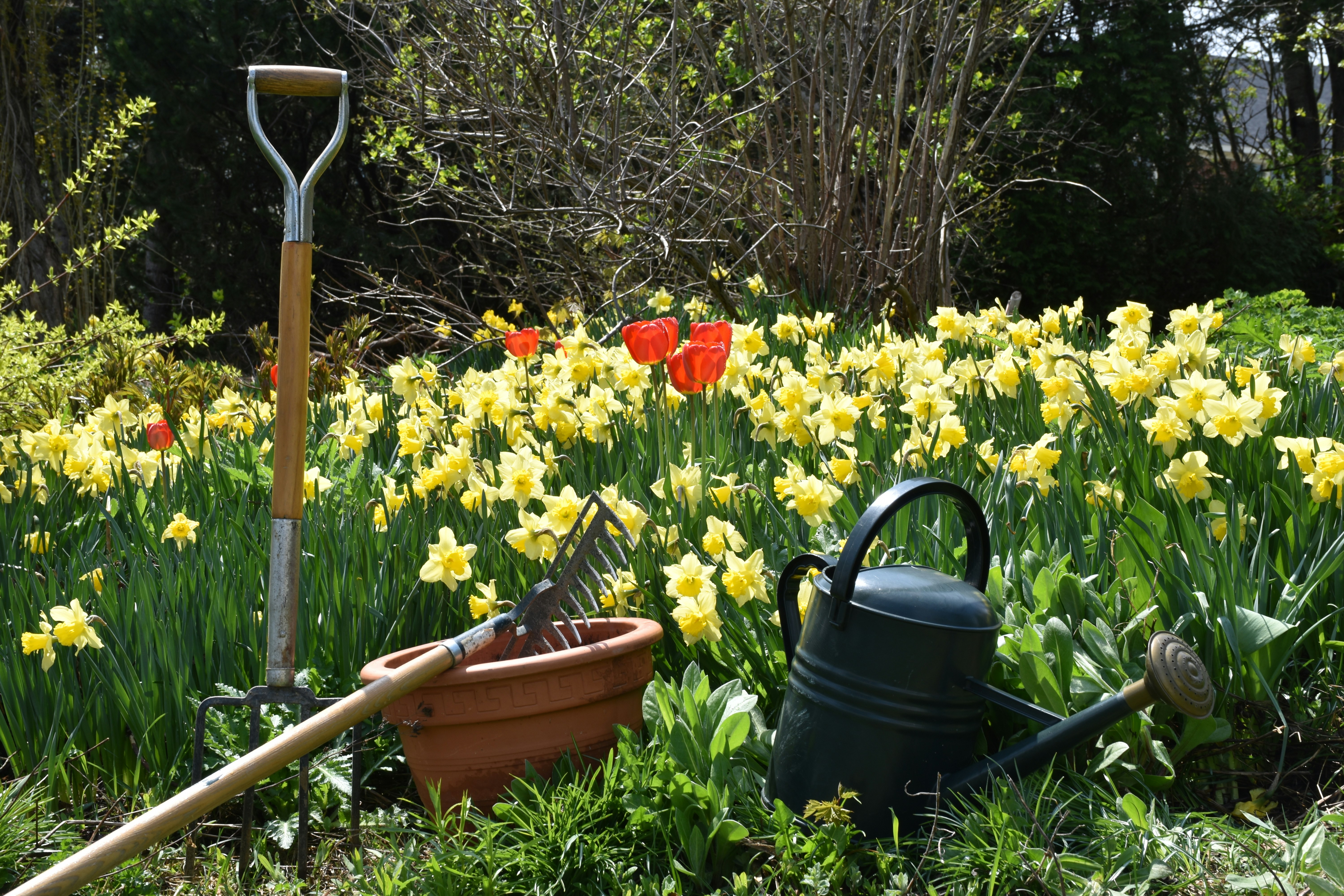 Cultivating a rewarding sport and hobby gardening space