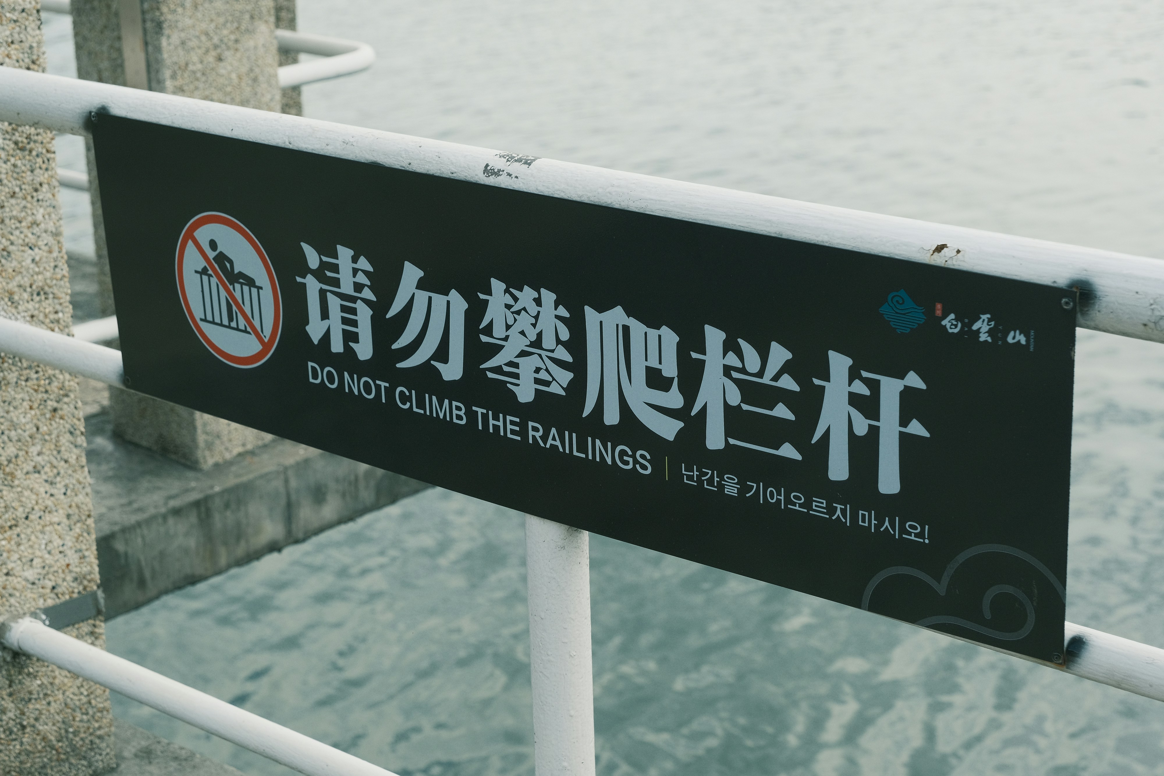 🔥小資族躺賺攻略！靠娛樂城優惠，財富自由不是夢？