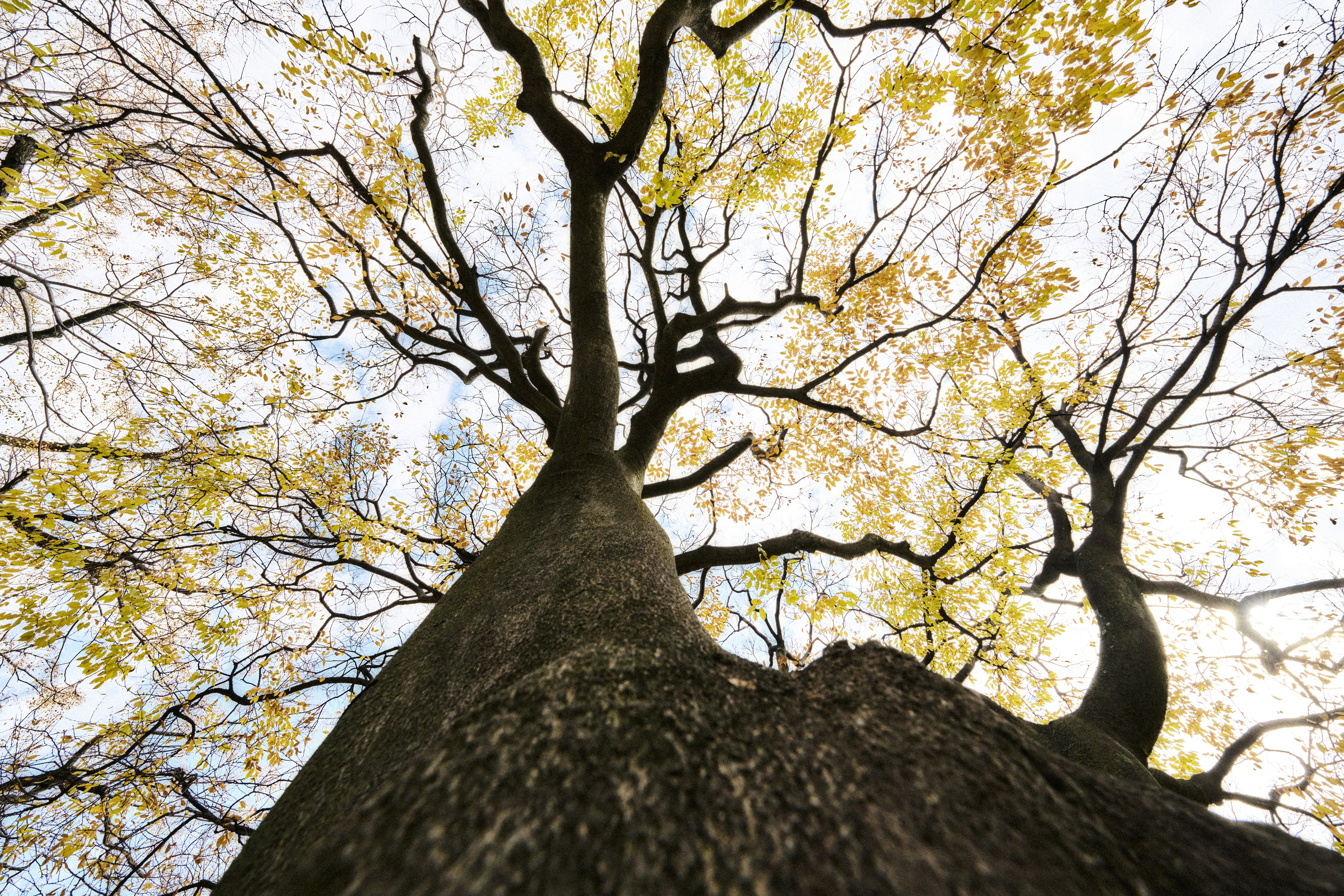 😱設計師崩潰！你家裝潢NG點，99%的人都中！不看後悔！