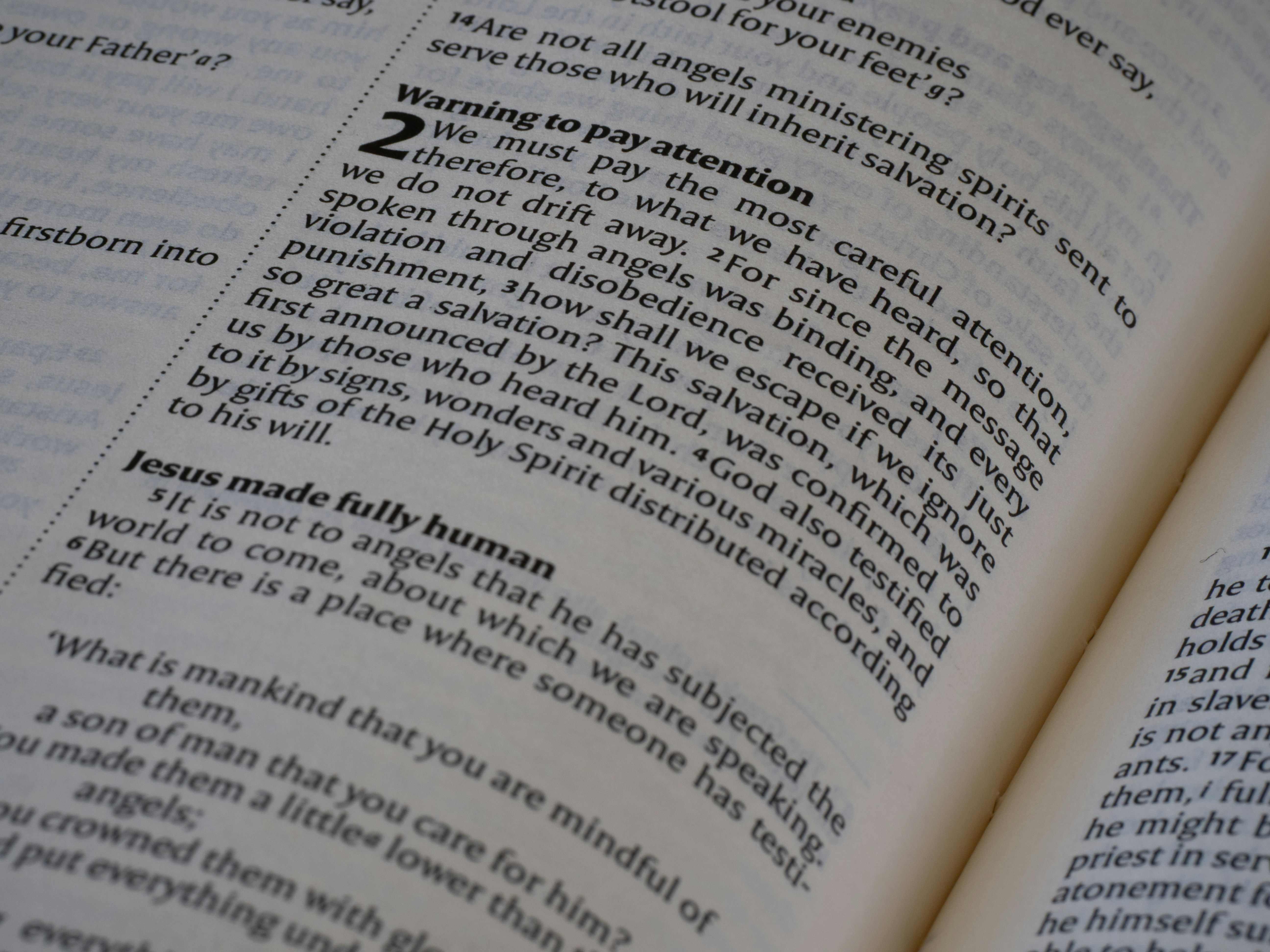 What Are Statutes and Why Do They Matter?
