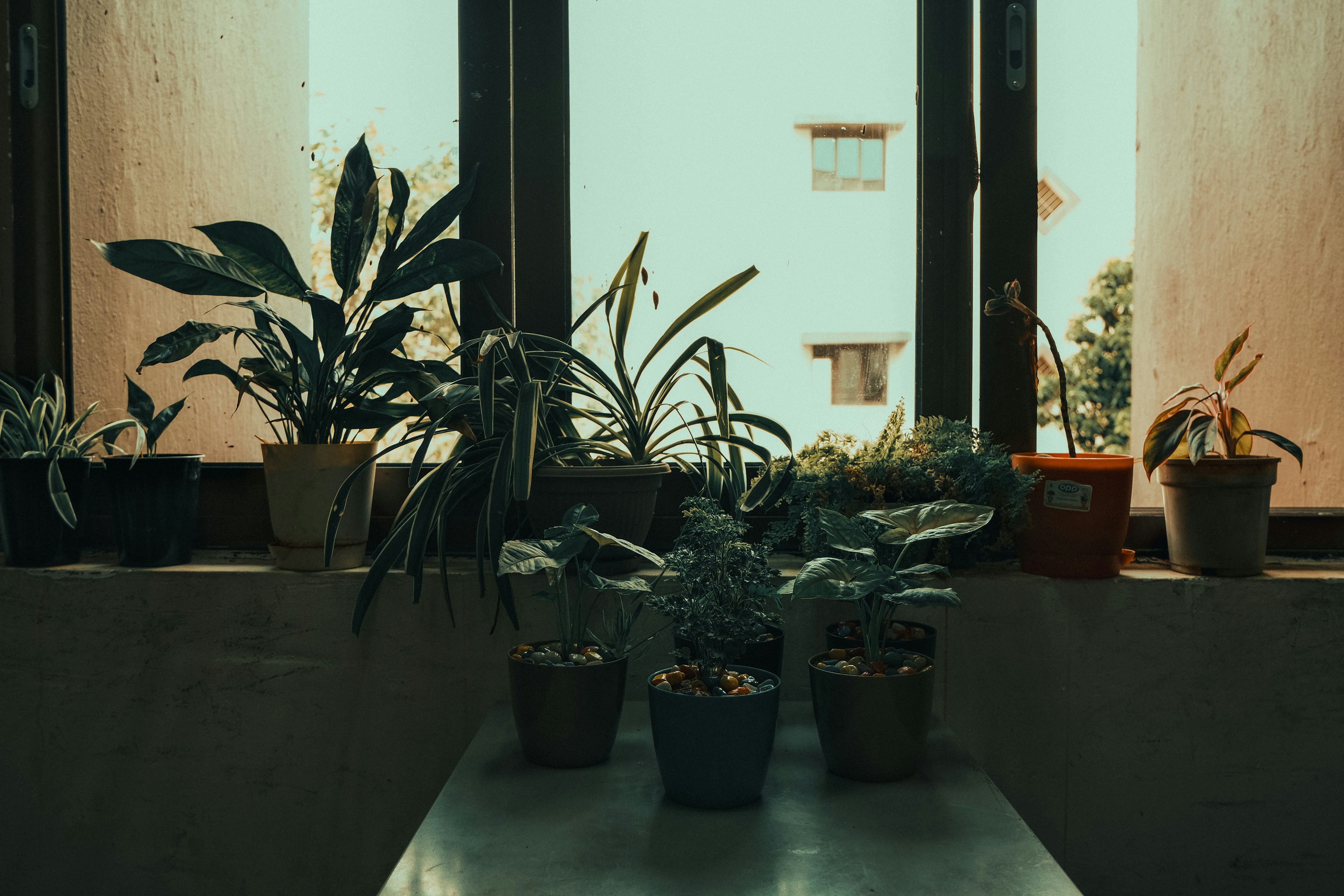 租屋改造術！小空間變身質感窩，這幾招學起來！