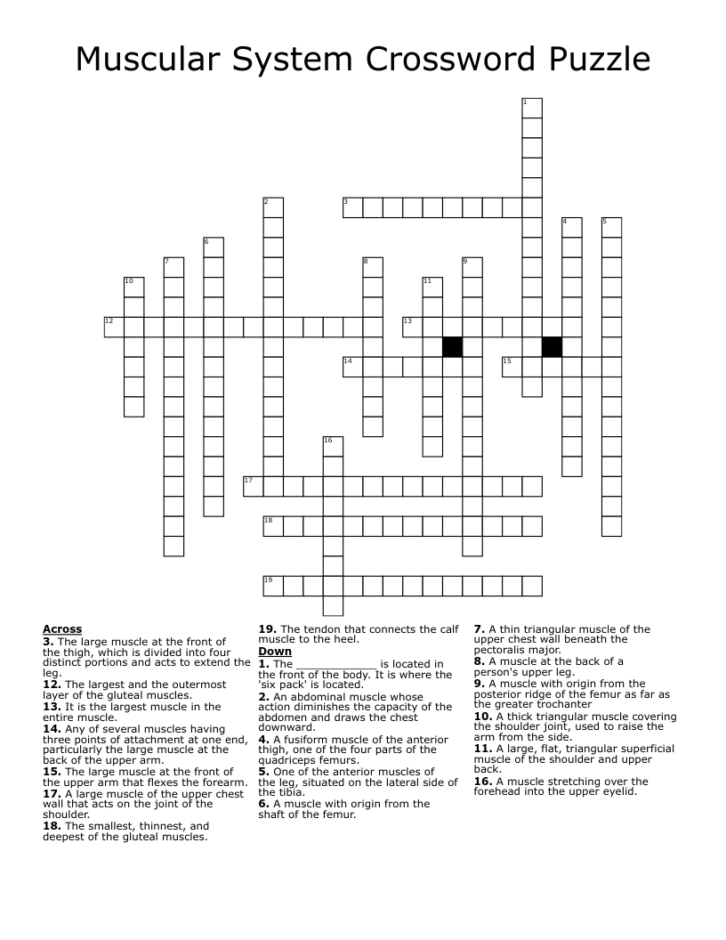 Crossword puzzles are free to play on your desktop or mobile device, and increase in difficulty every day. Muscular System Crossword Puzzle Wordmint