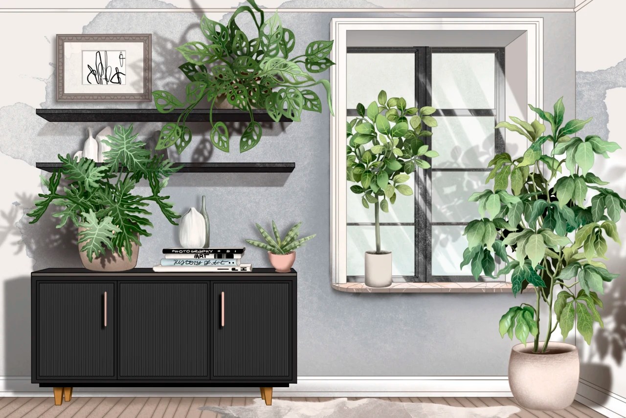 You might not spend a lot of time thinking about your chimney, especially during the warmer summer months. What Are The Best Low Maintenance House Plants That Aren T Everywhere Wsj