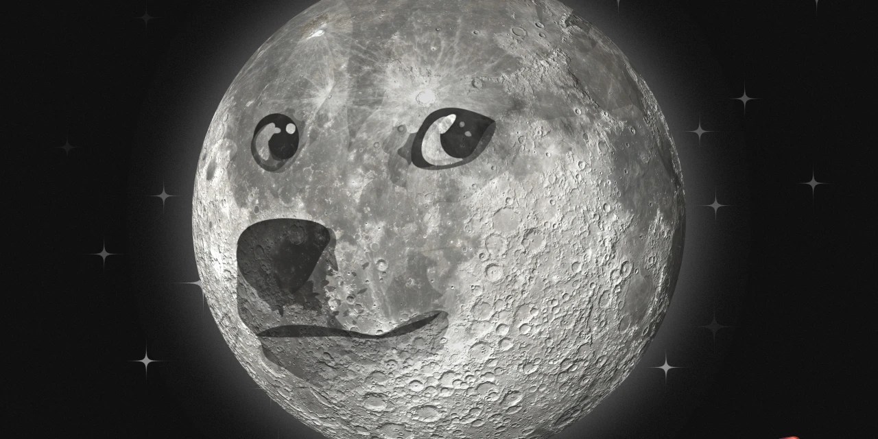 Sign up to our new free indy100 weekly newsletter. Dogecoin S 12 000 Rally Spurs Hunt For Next Crypto Winner Wsj