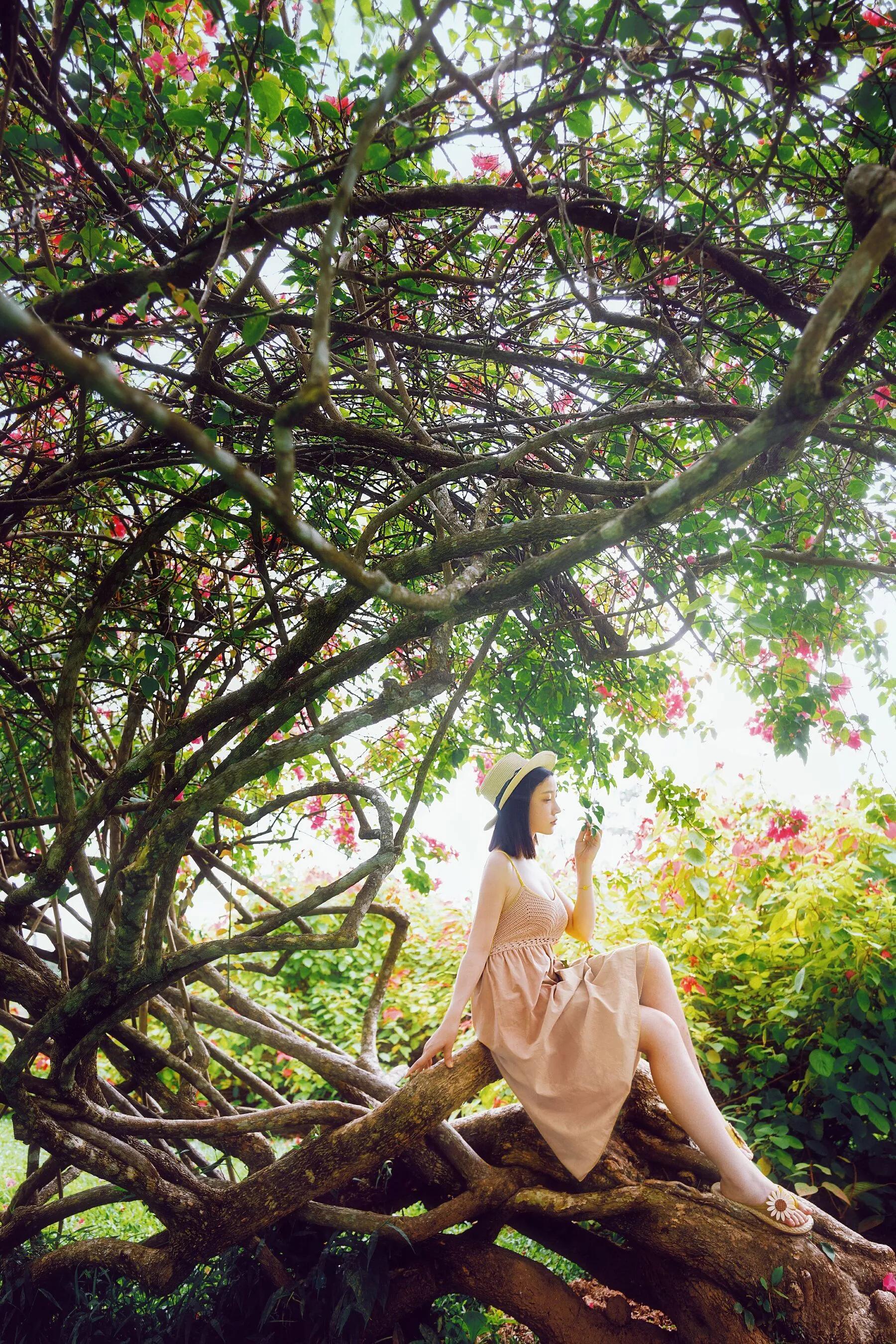 年年《白露》(10)