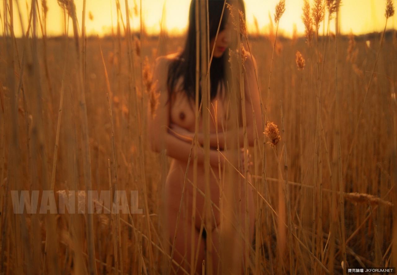 [WANIMAL] 北京“故宫门”摄影师王动作品系列 05(31)