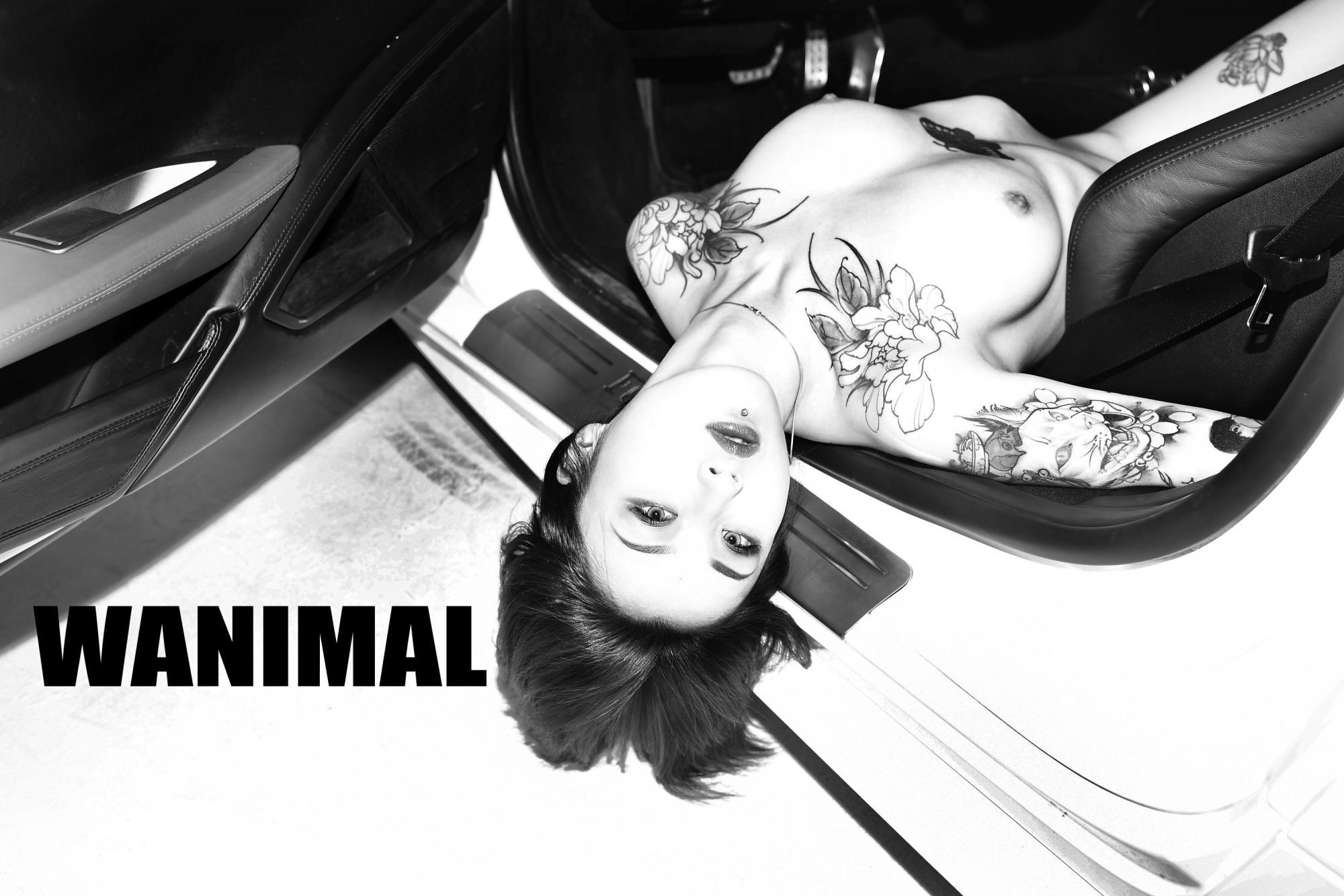 【WANIMAL】王动大师 1月VIP大尺度写真(完整版)(54)