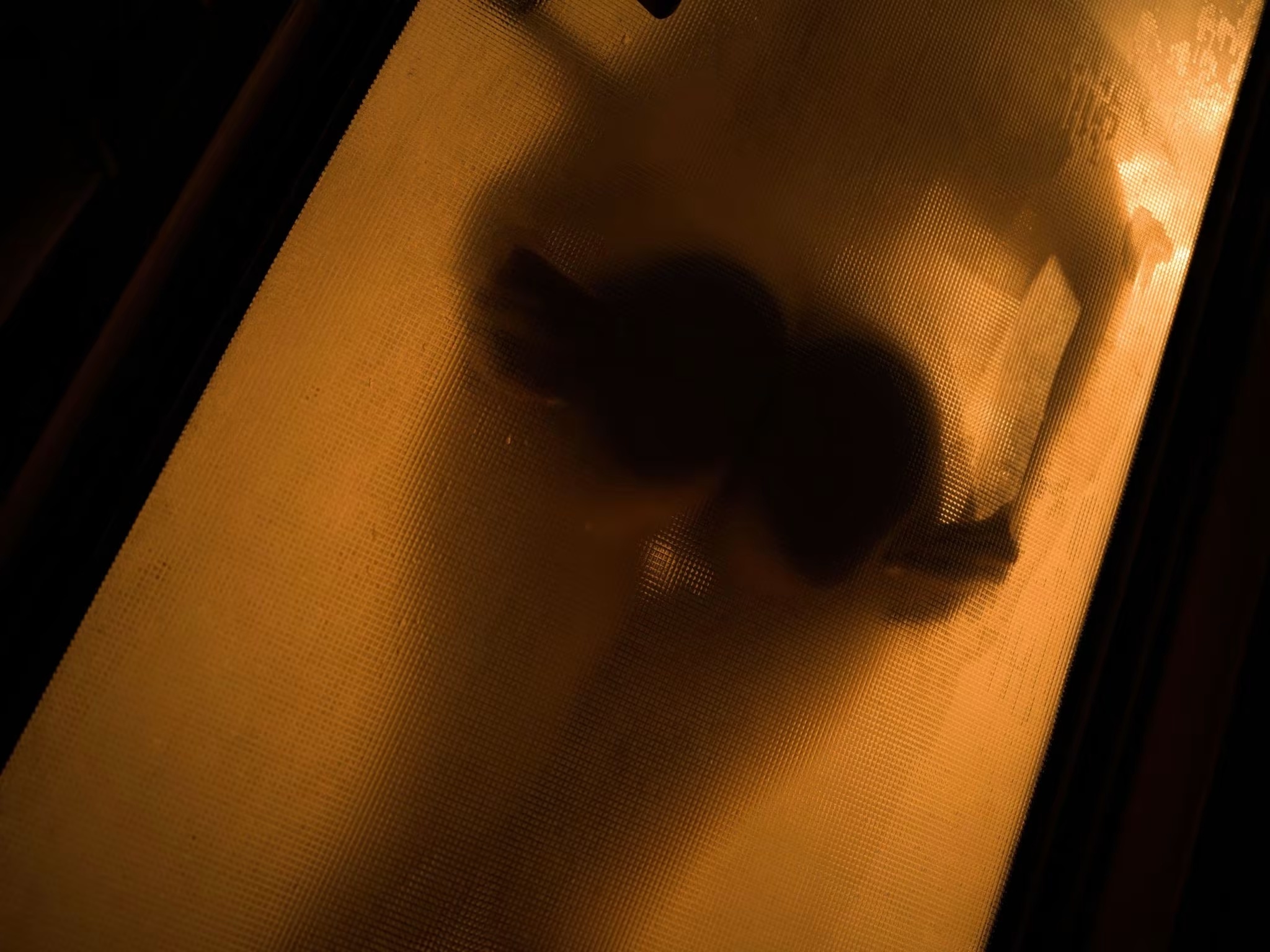 Coser@淺安安： 居家日 (96 photos) - ( Page 1 / 5 )(70)