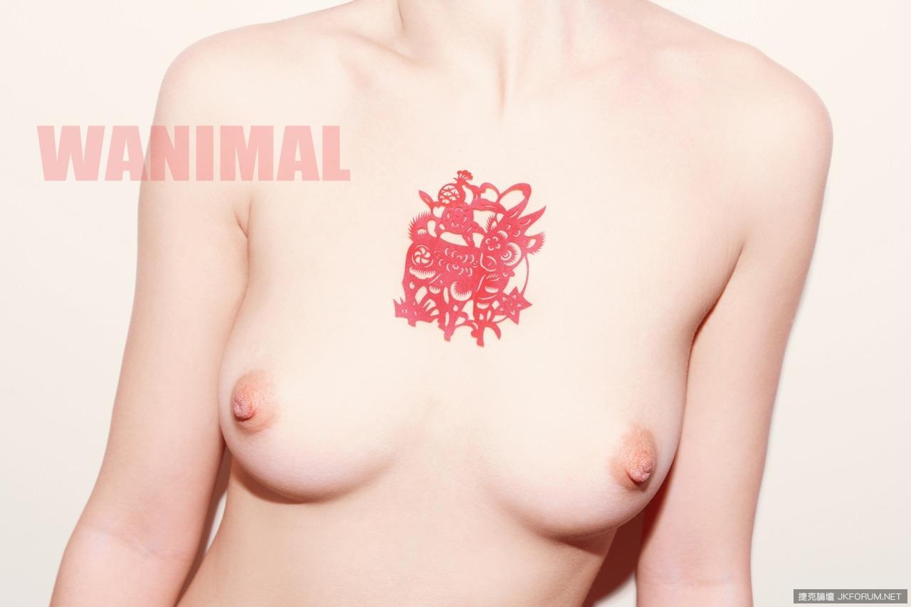 [WANIMAL] 北京“故宫门”摄影师王动作品系列 03(60)