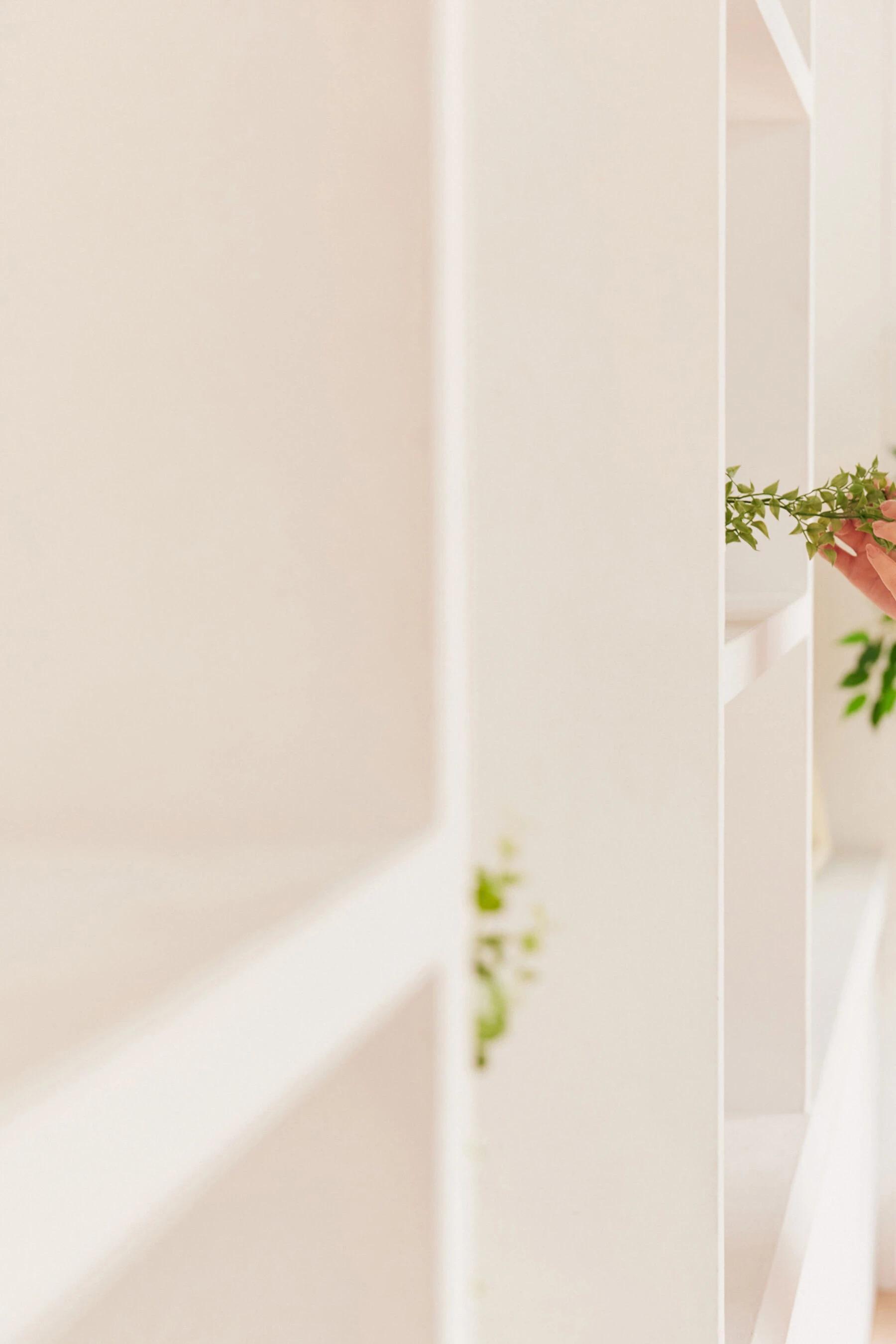 八掛海【FRIDAY】《うみといっしょ》(2023-06) (271P)(150)