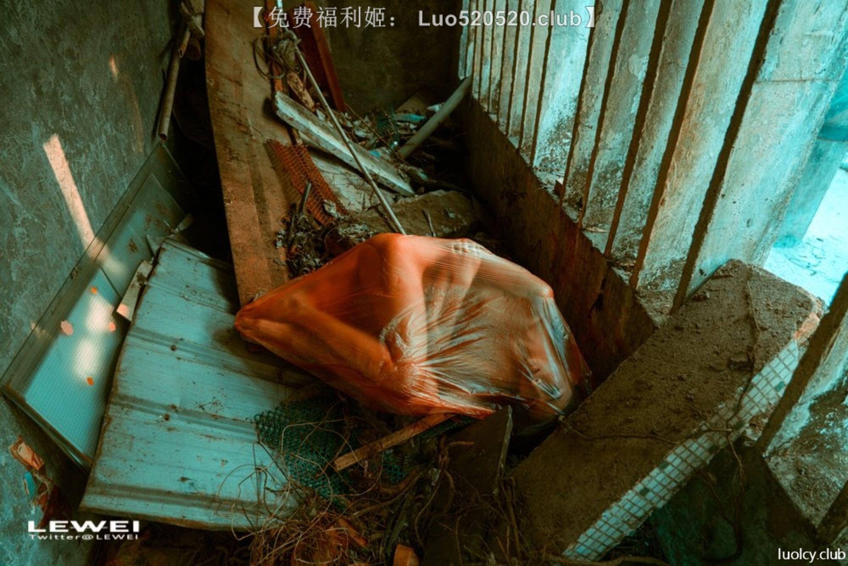 国模套图 摄影师LEIWEI作品合集(401)