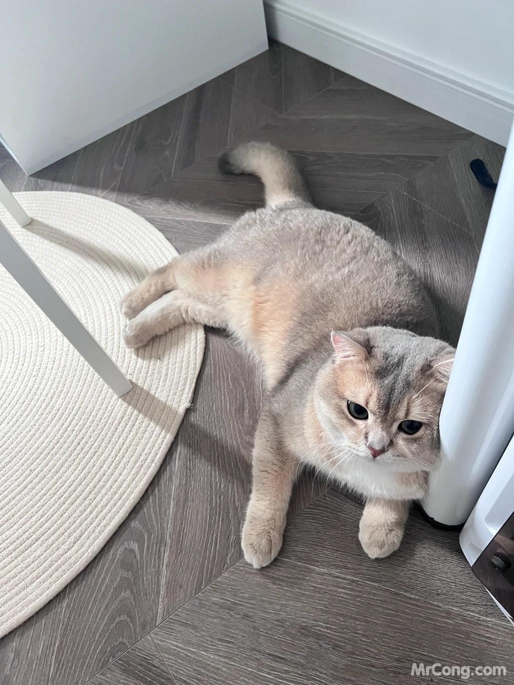 Coser@眼酱大魔王w Vol.097: (Fantia) June 2023 (42 photos )(12)