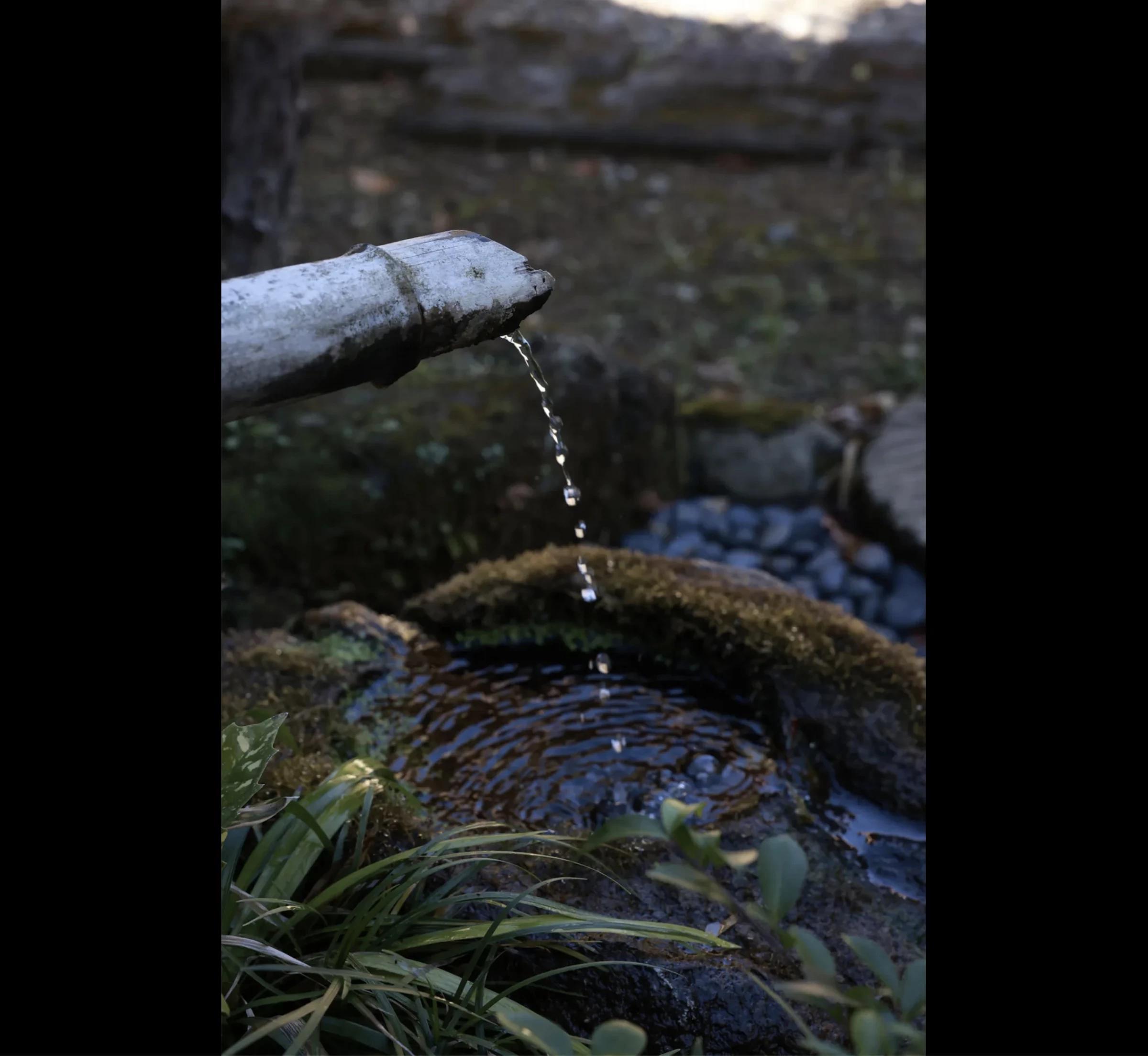 永岡憐子FRIDAYデジタル寫真集 それから オール未公開スペシャルEdition (175P)(65)