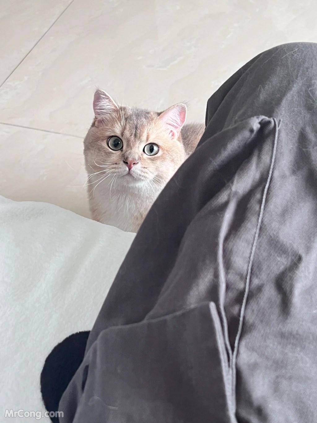 Coser@眼酱大魔王w Vol.095: (Fantia) April 2023 (38 photos )(12)