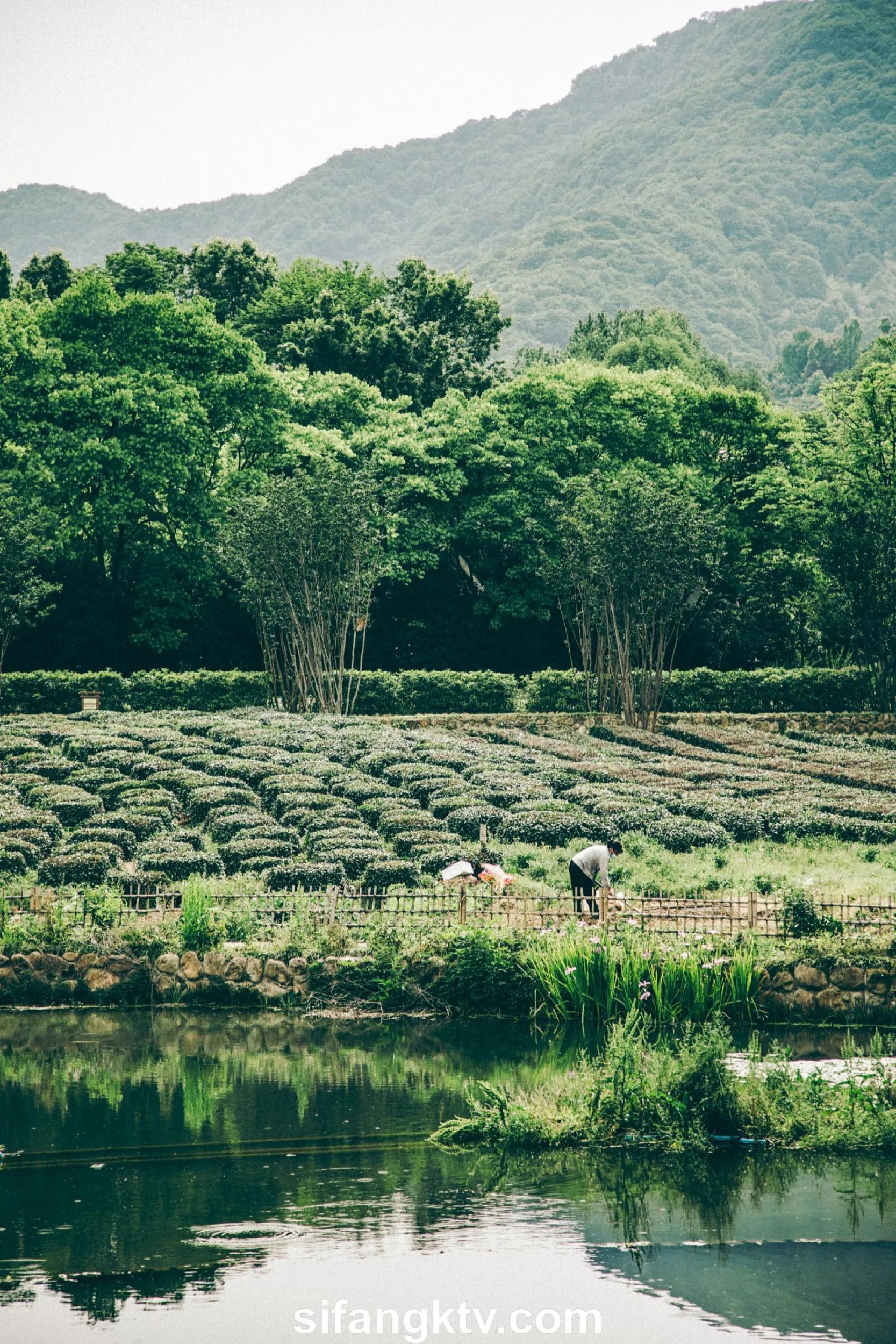 2022最新Vision_Lishen美模写真合集 pt.2(75)