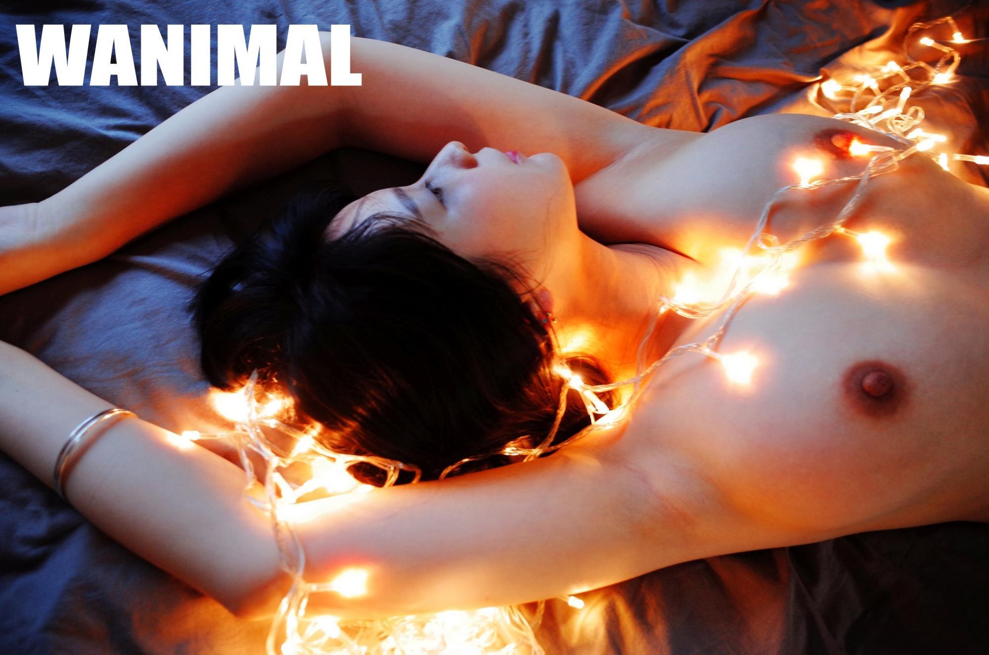 【WANIMAL】王动大师 2月VIP大尺度写真(141)