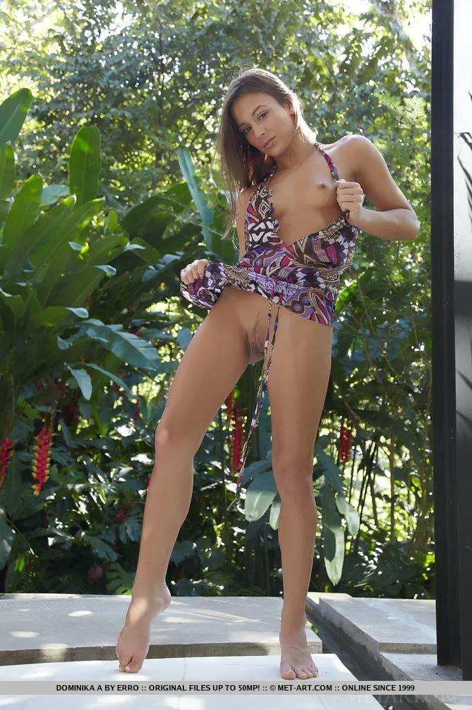 多米尼加 (DOMINIKA) 捷克   写真(110)