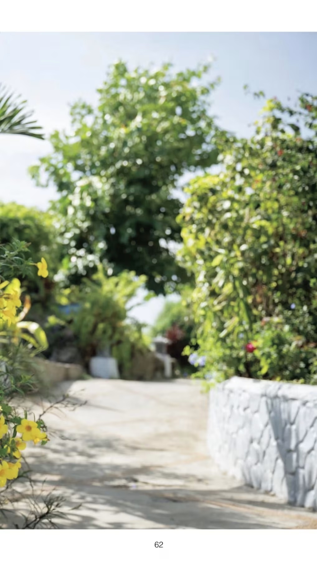 Rena Momozono 桃園憐奈, 週刊AG 2026.01.07(10)