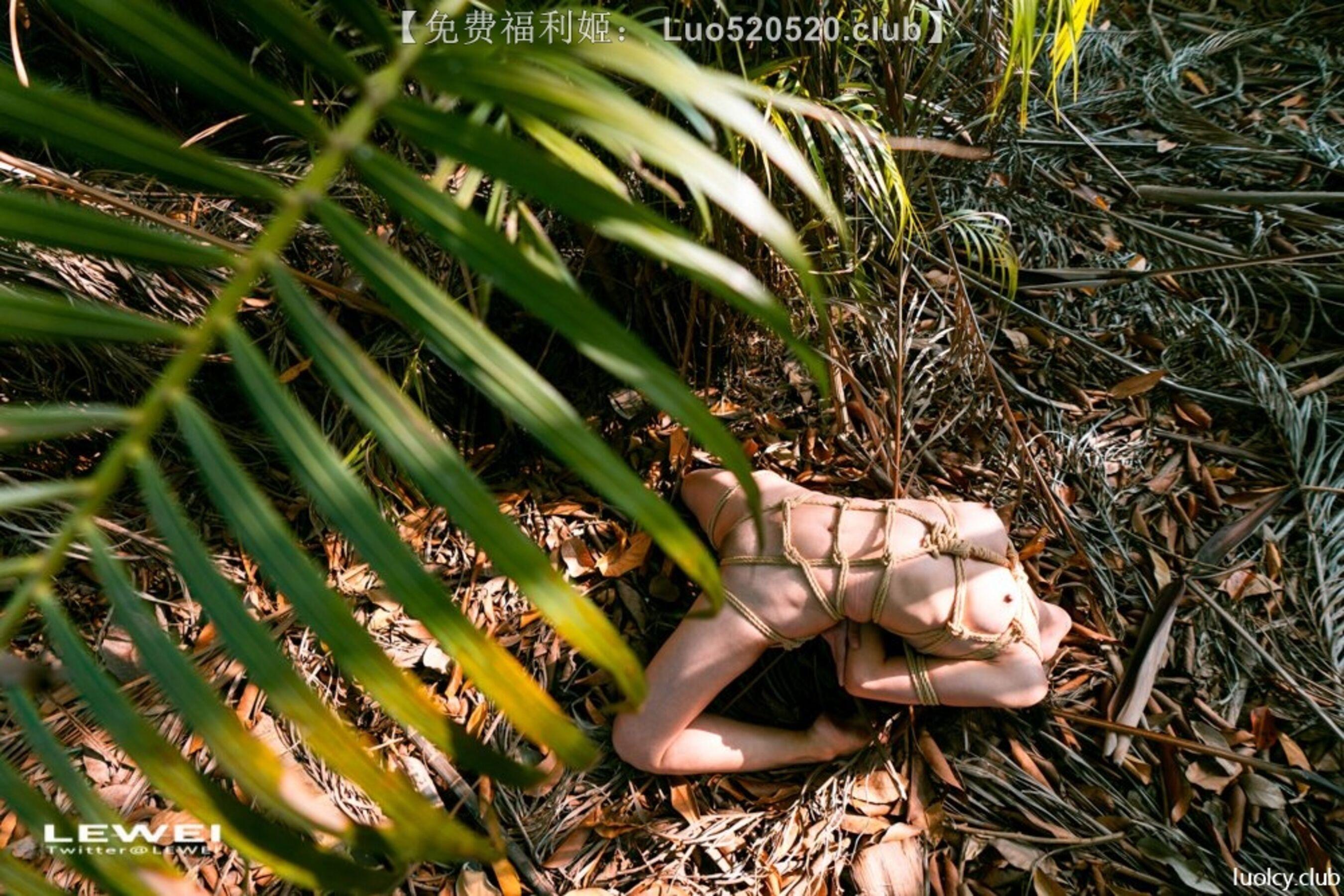 国模套图 摄影师LEIWEI作品合集(282)