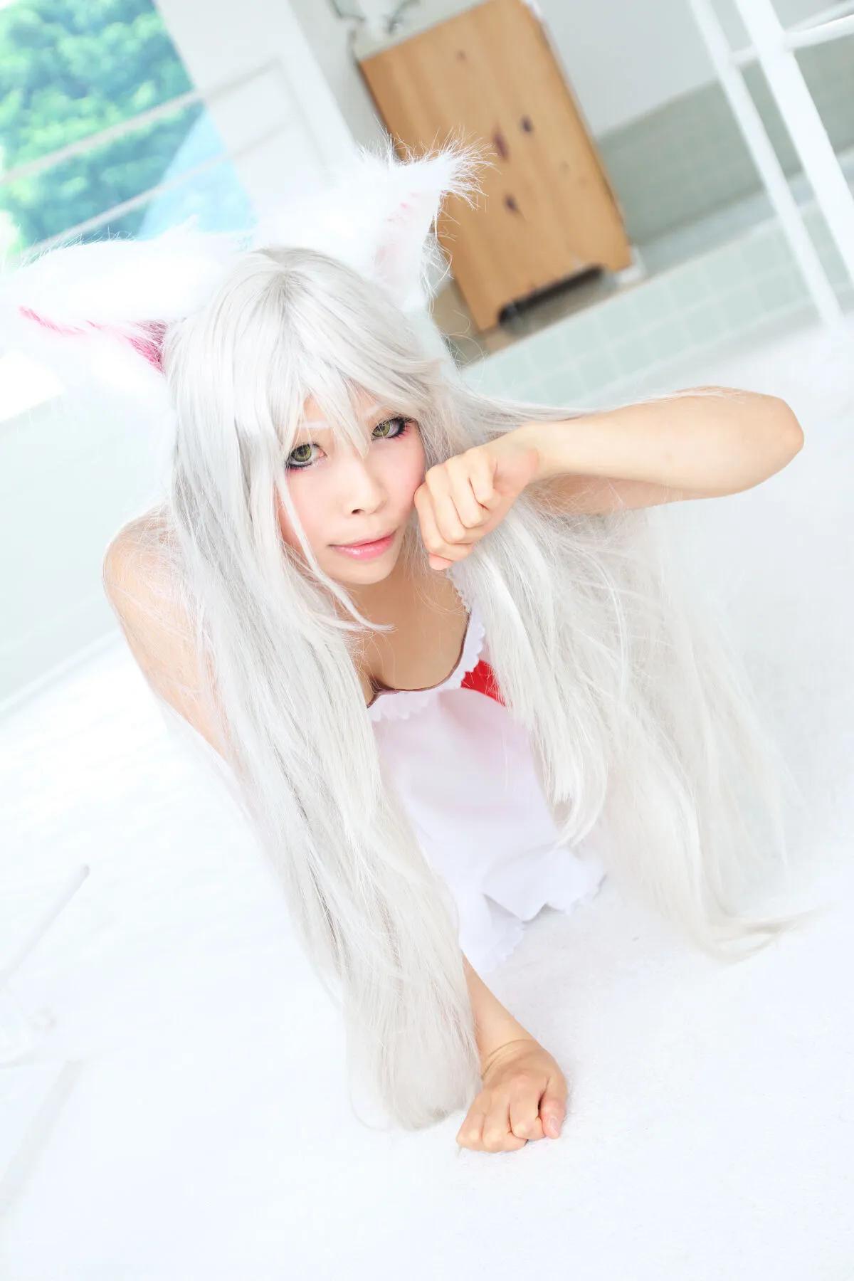 树物语-いつきキャット(黒)-(150)