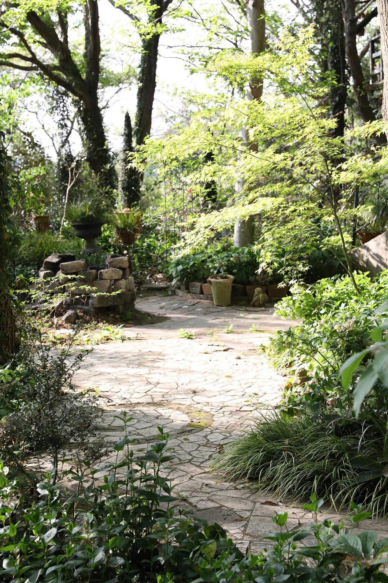 Miu Nakamura 仲村美海 - Fairy (86P)(59)