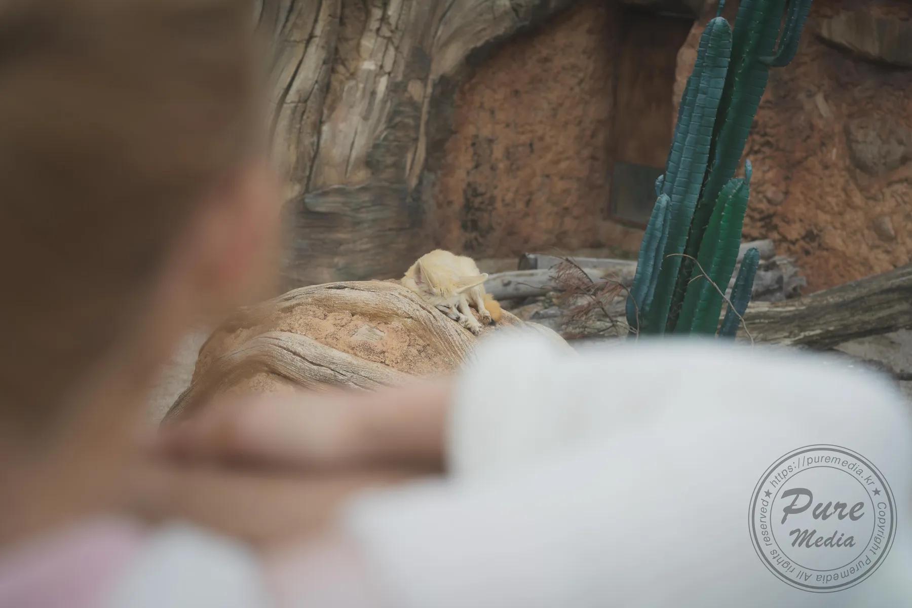 [Yeha 예하] 韩国美女逆天长腿视角真的好赞(3)