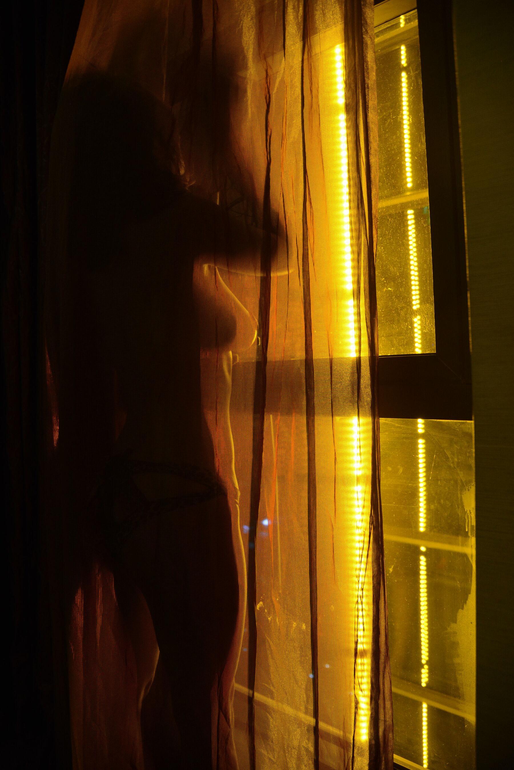 PANS Vol. 0100 卡卡(66)