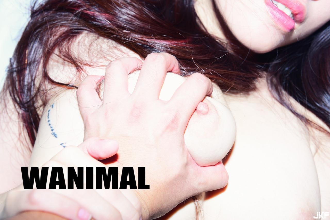 WANIMAL王动系列(164)