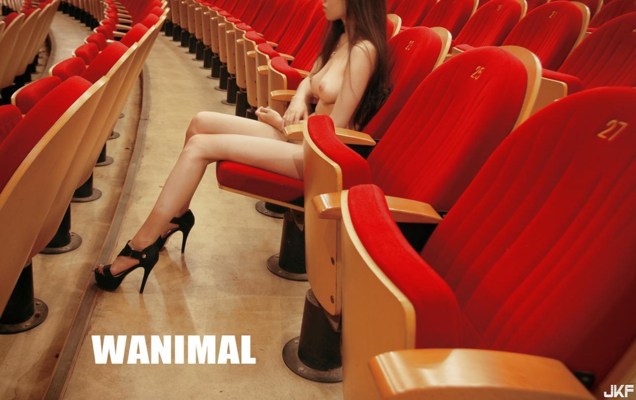 WANIMAL 王动系列2(40)