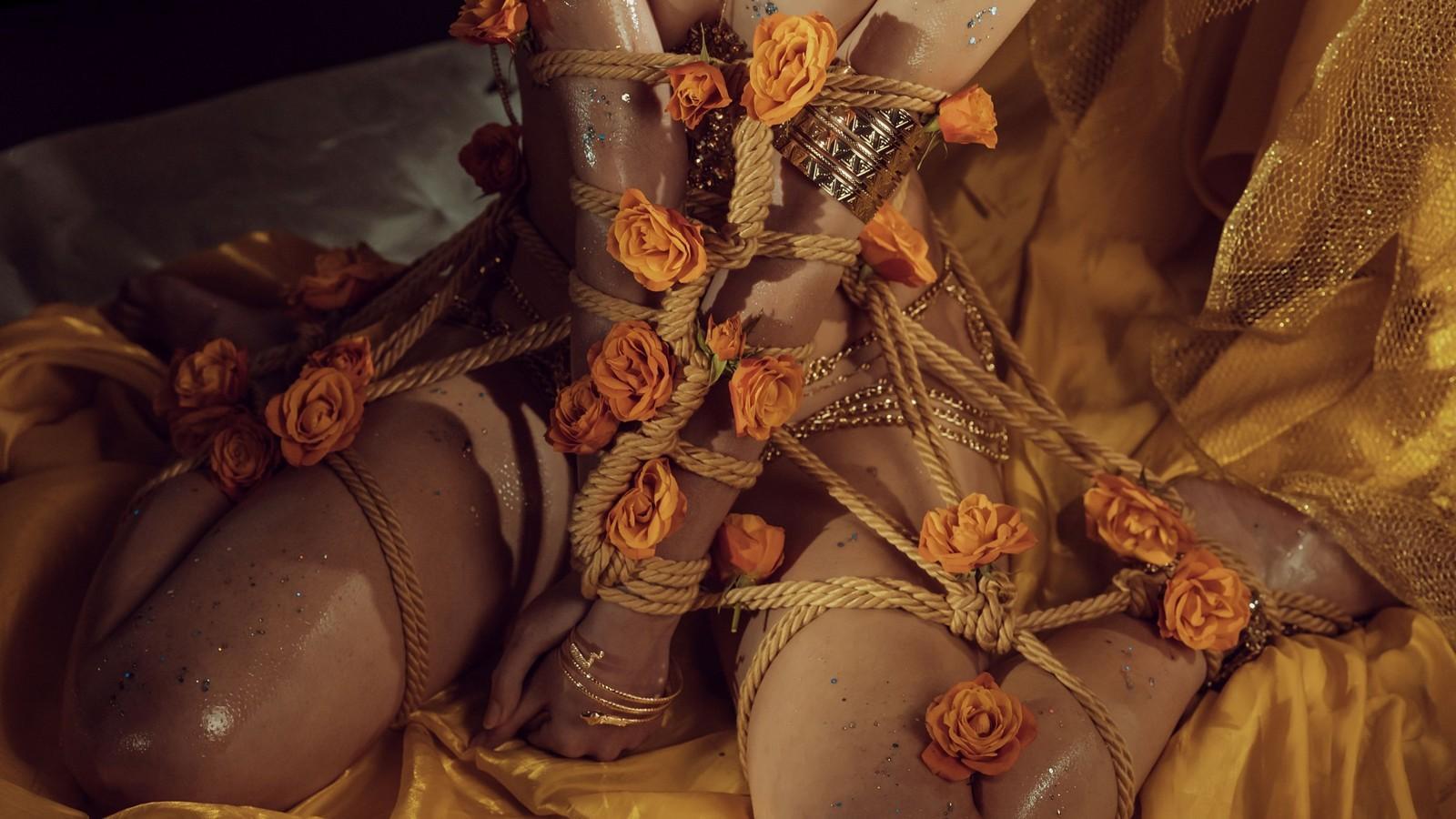 云溪溪 - 花与绳(35)