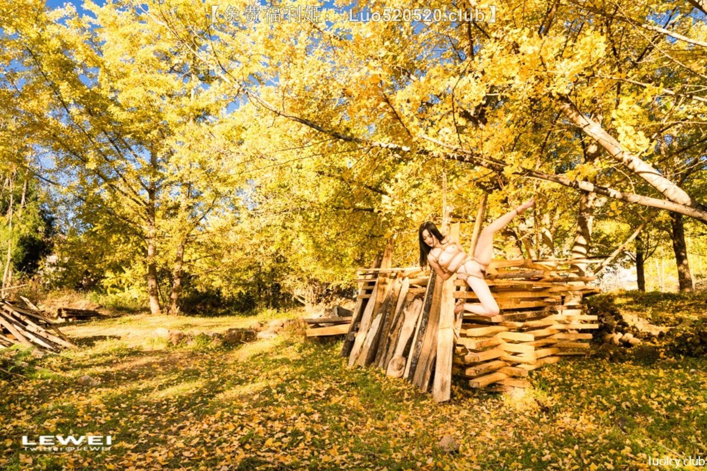 国模套图 摄影师LEIWEI作品合集(84)