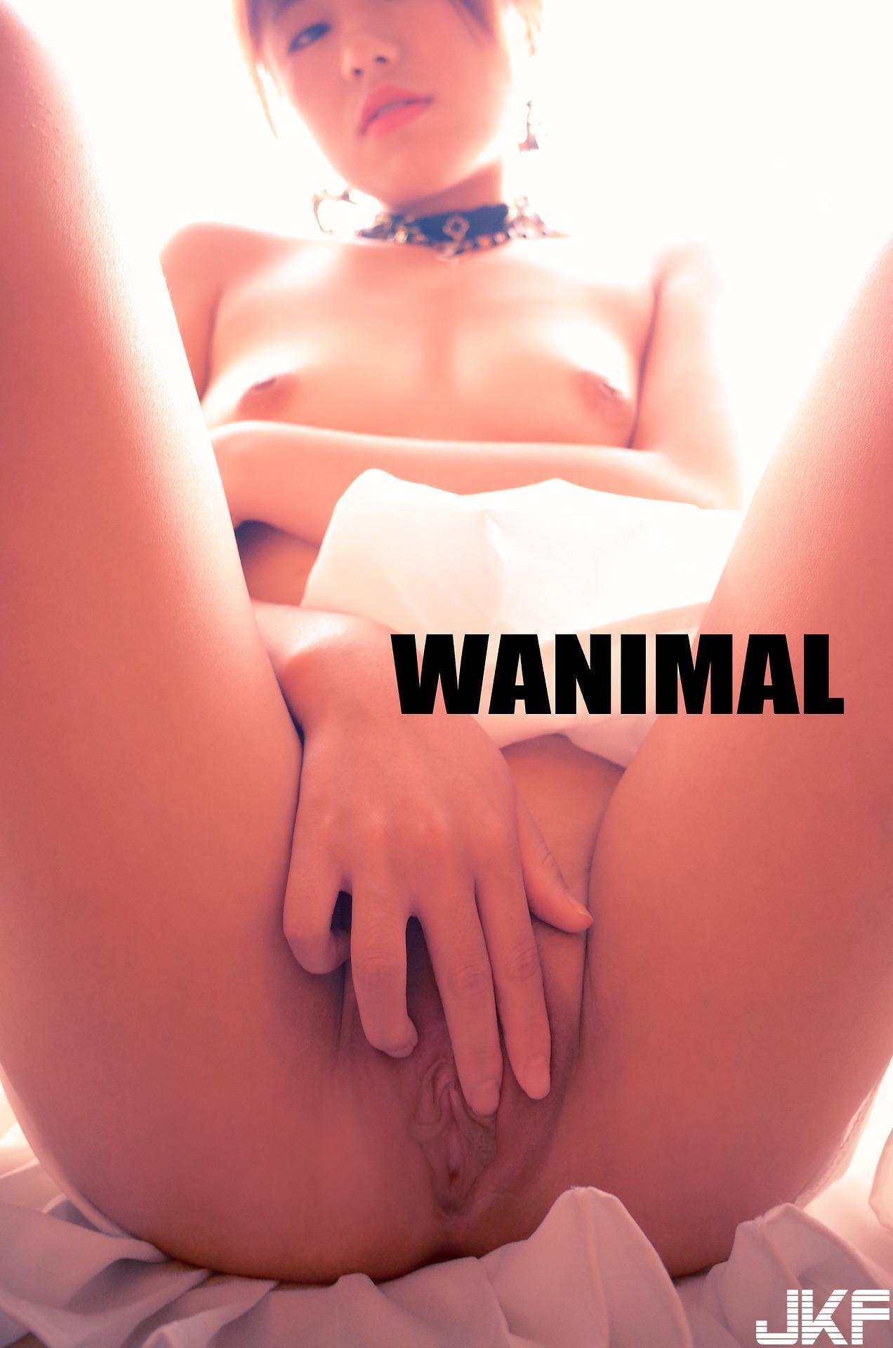 WANIMAL 2018年1月新年作品(22)