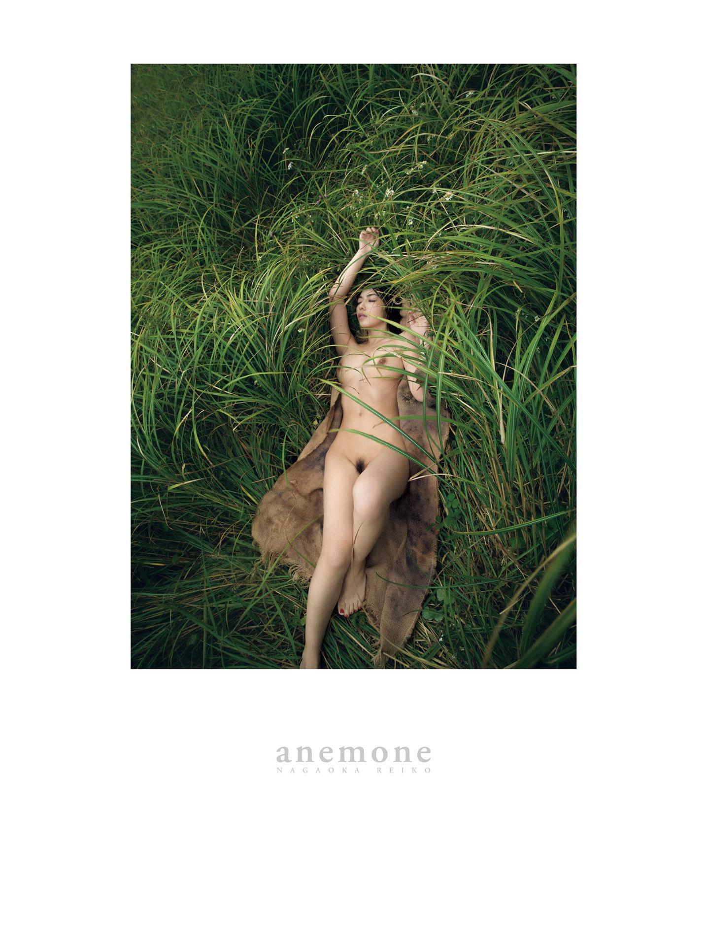 Reiko Nagaoka 永冈怜子 - anemone(94)