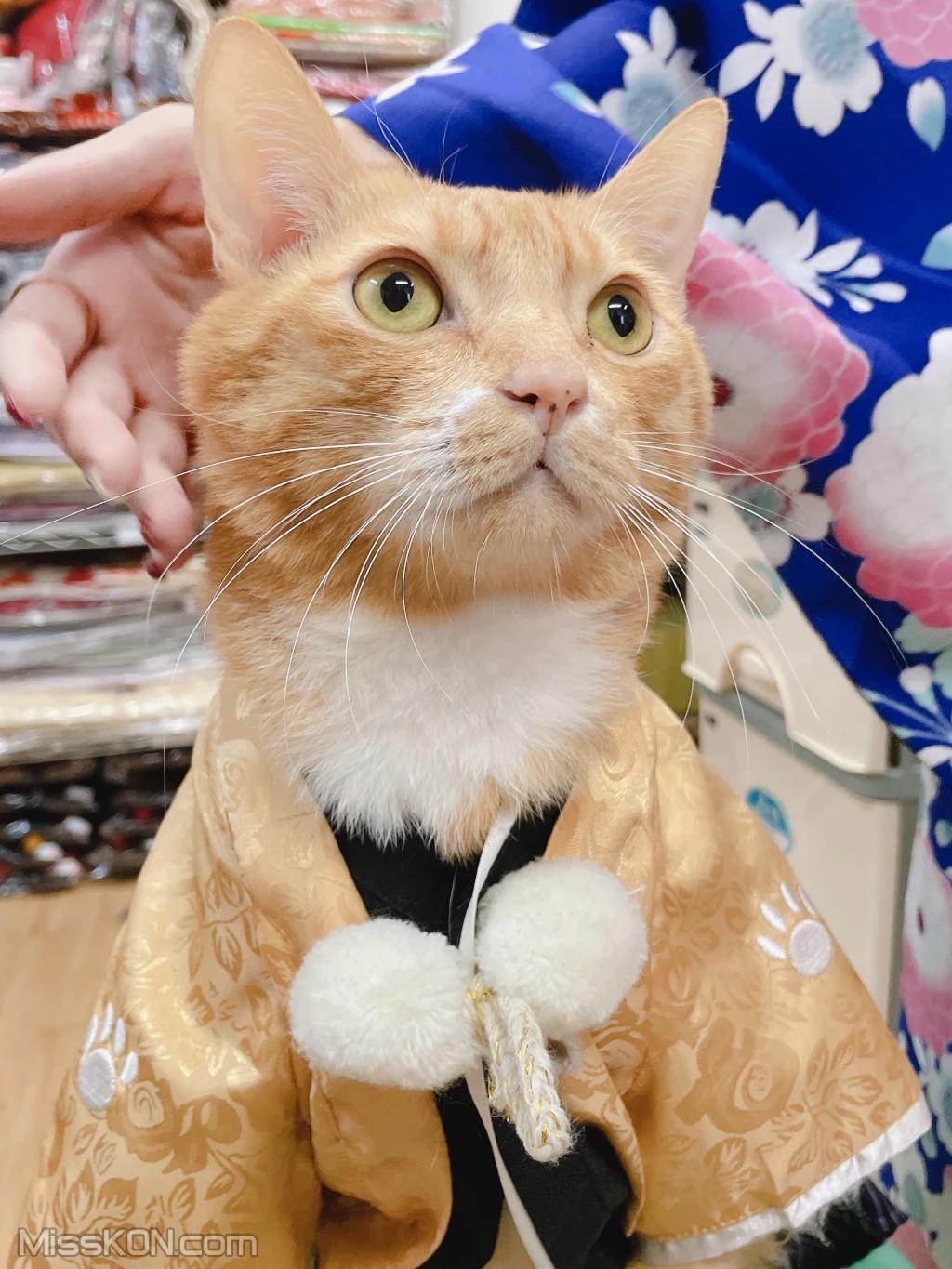 Coser@泥泥汝: 和服 (440 photos )(231)