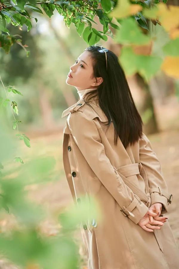 年年- 枫洄之 林中精灵(15)