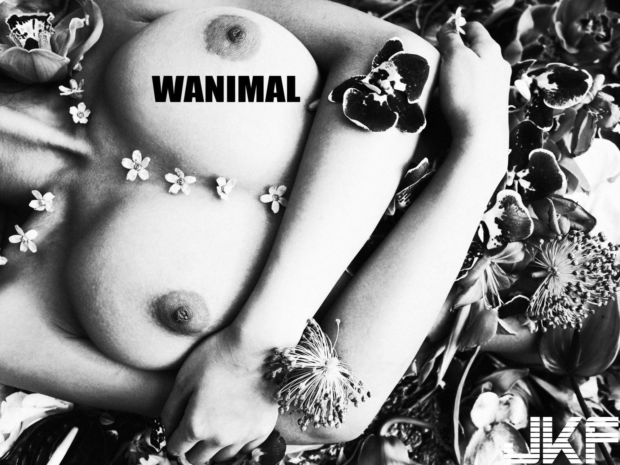 【WANIMAL】王动大师 04月VIP大尺度写真(完整版)(142)