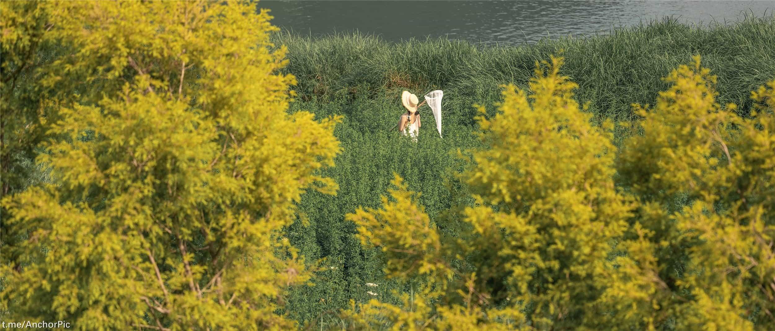 蠢沫沫 – 乡下妹妹 125P(80)