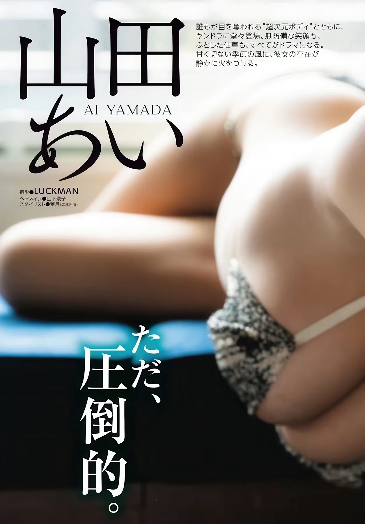 Ai Yamada 山田あい, Dragon Age ヤングドラゴンエイジ VOL.32 2026年1月號(2)