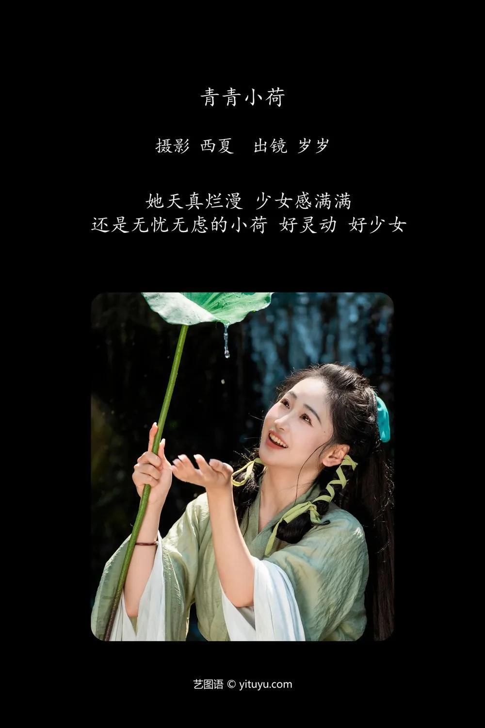 青青小荷 湫一只岁岁(1)