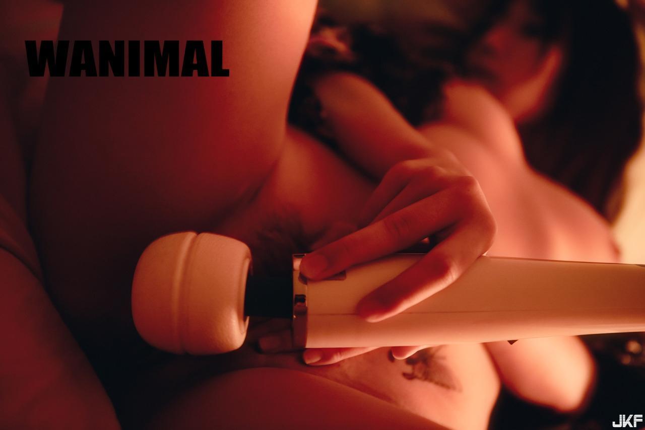 WANIMAL 王动系列3(19)