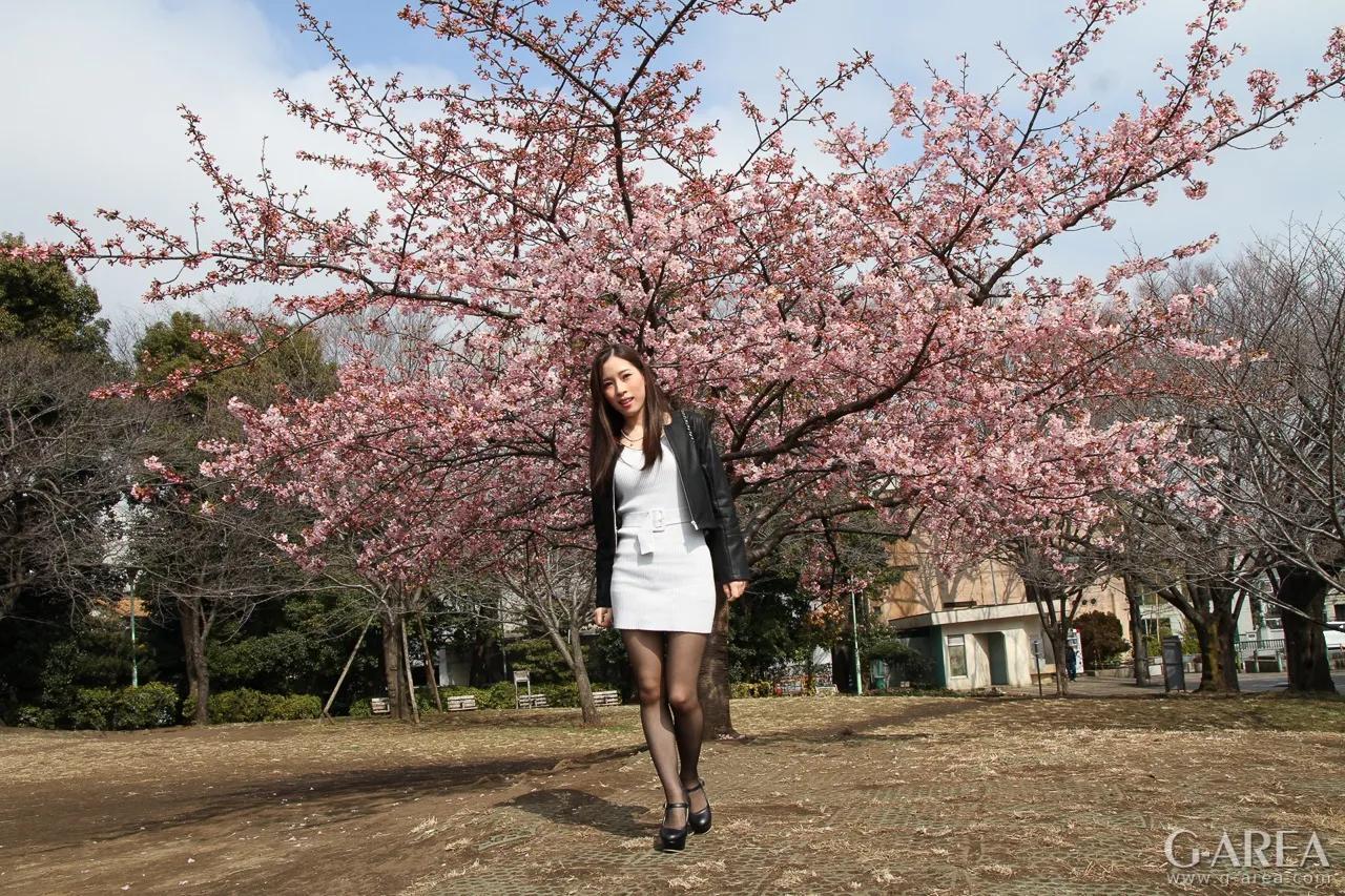 G-AREA Perfect-G 658 WAKA(6)