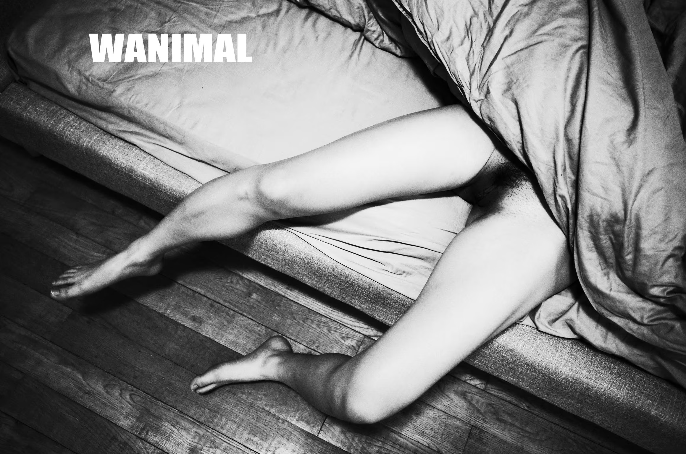 [WANIMAL] 王動 VIP 系列 第十一輯(123)