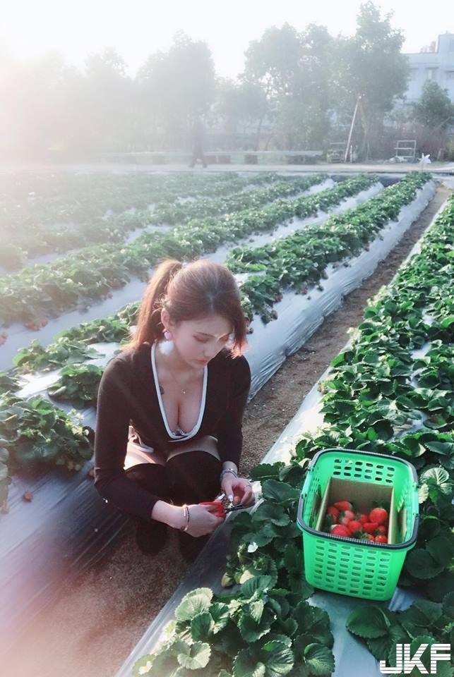 采草莓季节到了！正妹弯腰采莓「鲜嫩长辈」掉出，网友大喊：想吃草莓了！-小湿妹图(7)