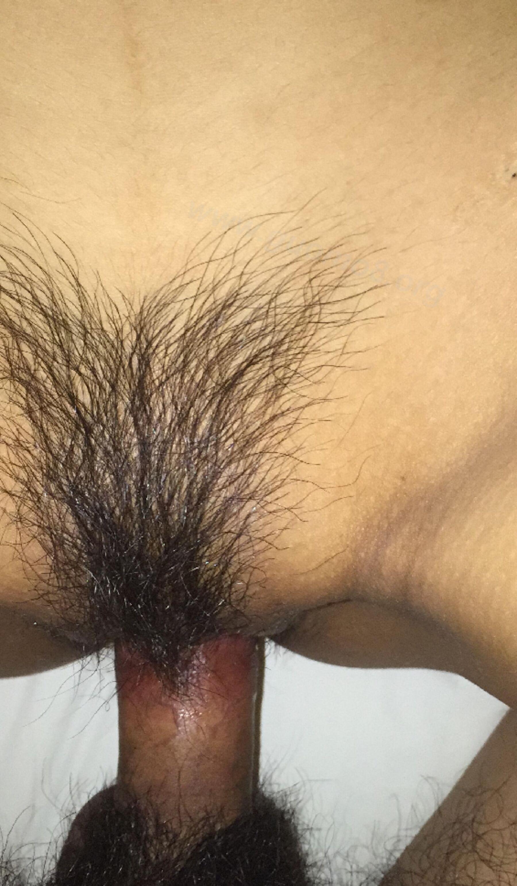 风吟鸟唱 国模妙妙大尺度性爱人体私拍套图(613)