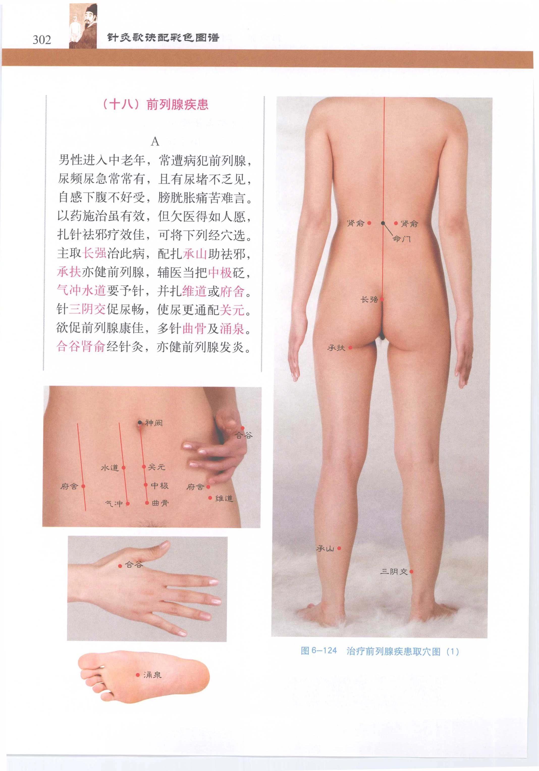 針灸歌訣配彩色圖譜 (徐玉琢)Super Pose Book (398P)(320)