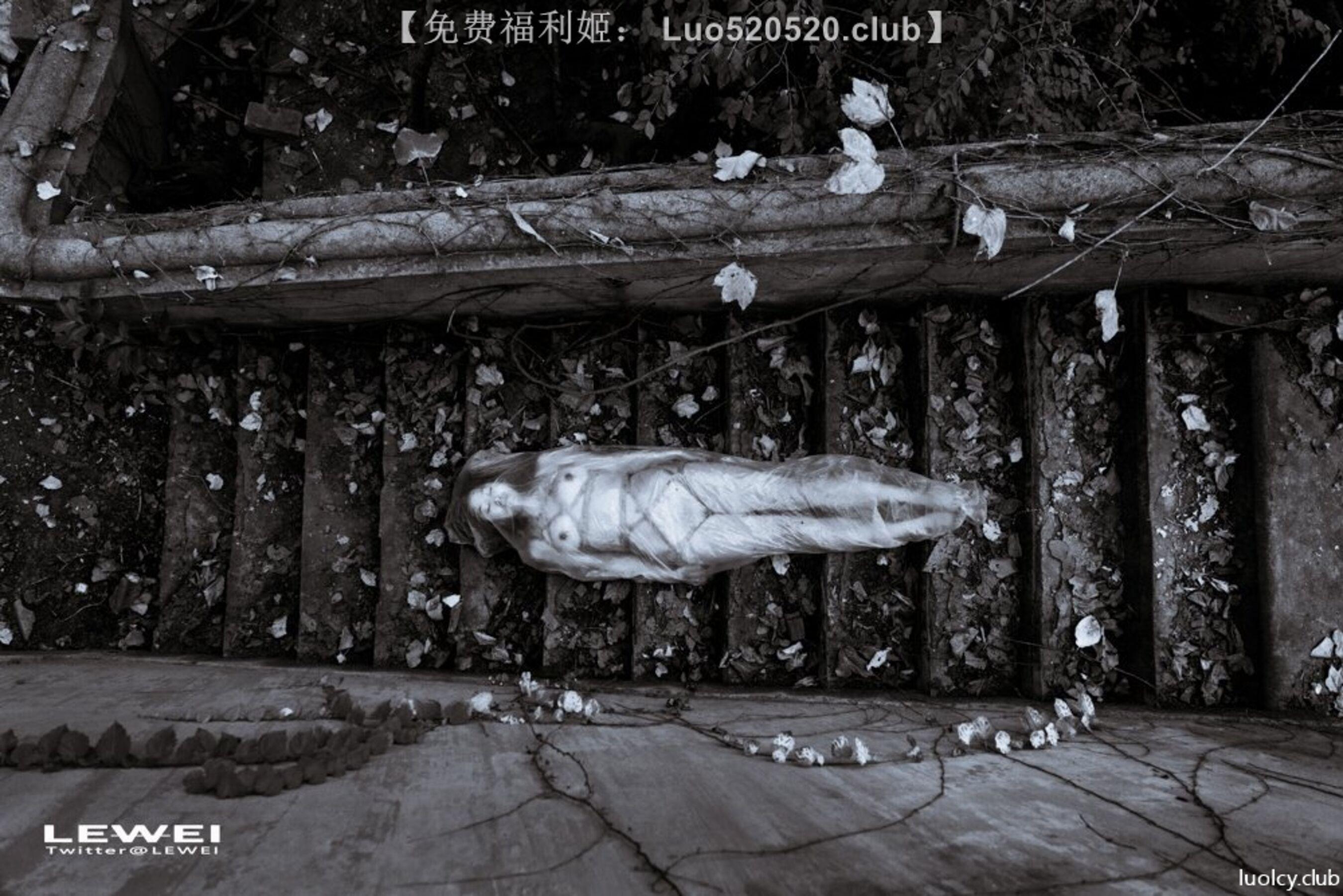 国模套图 摄影师LEIWEI作品合集(599)