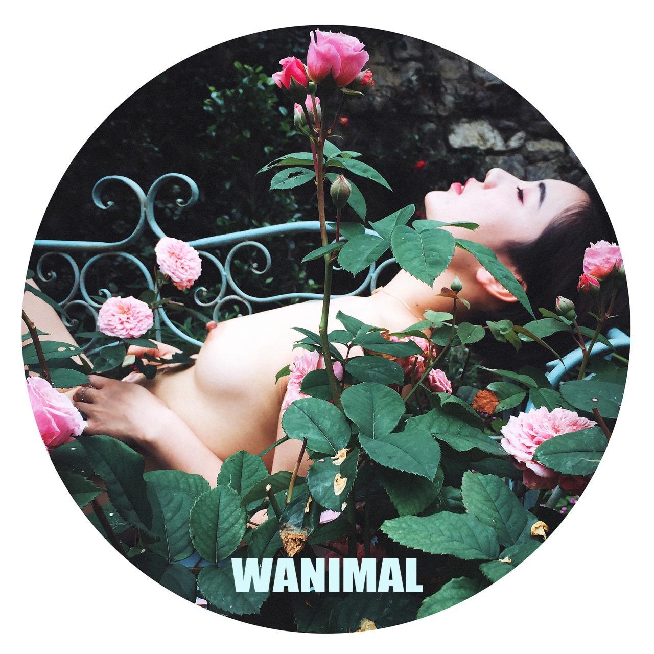 WANIMAL王动系列(105)