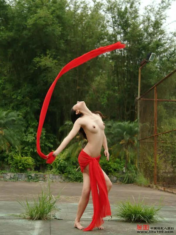 VIP优雅文静的国模研研-丽图100(3)(14)